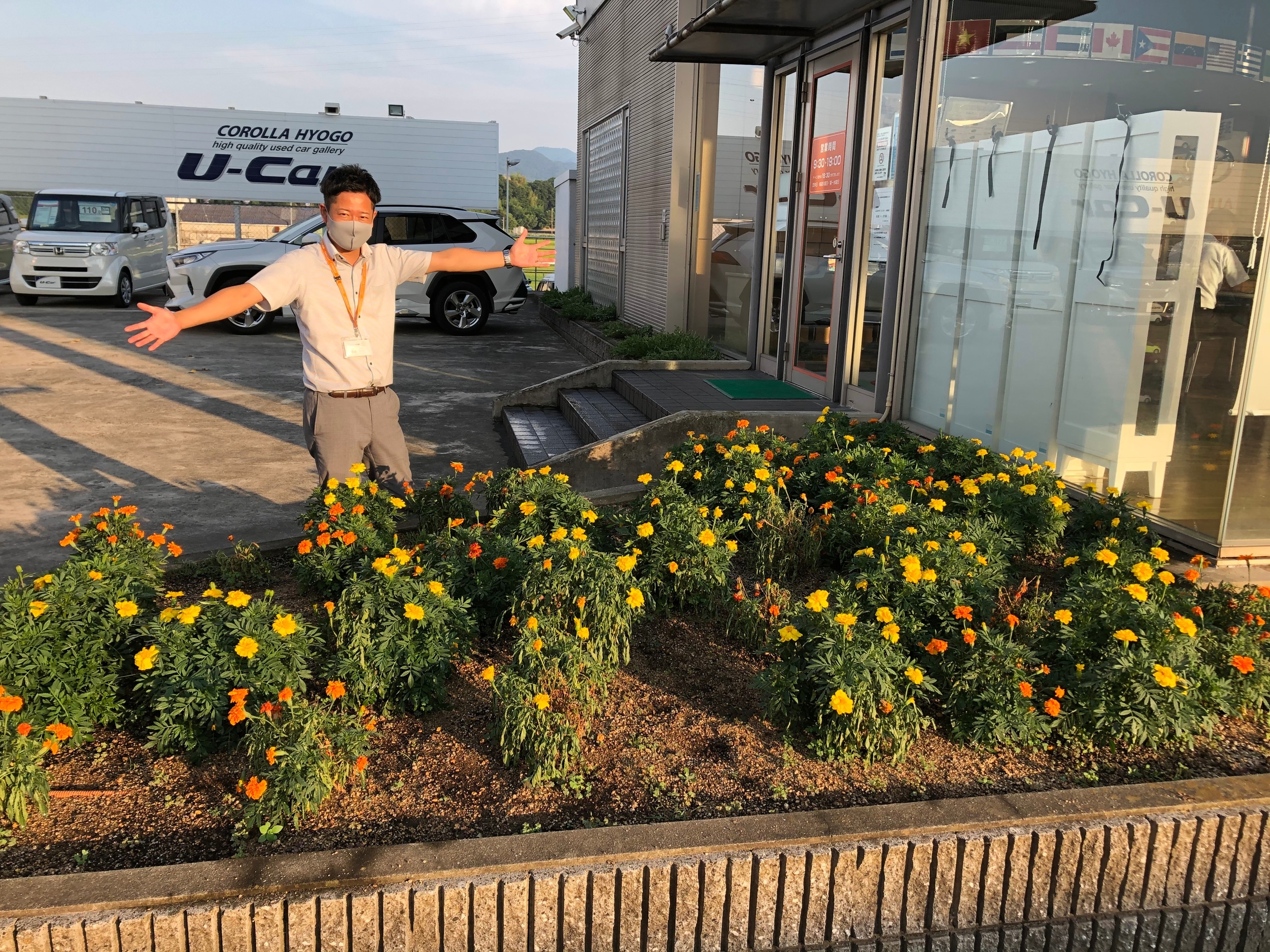 年夏の花壇