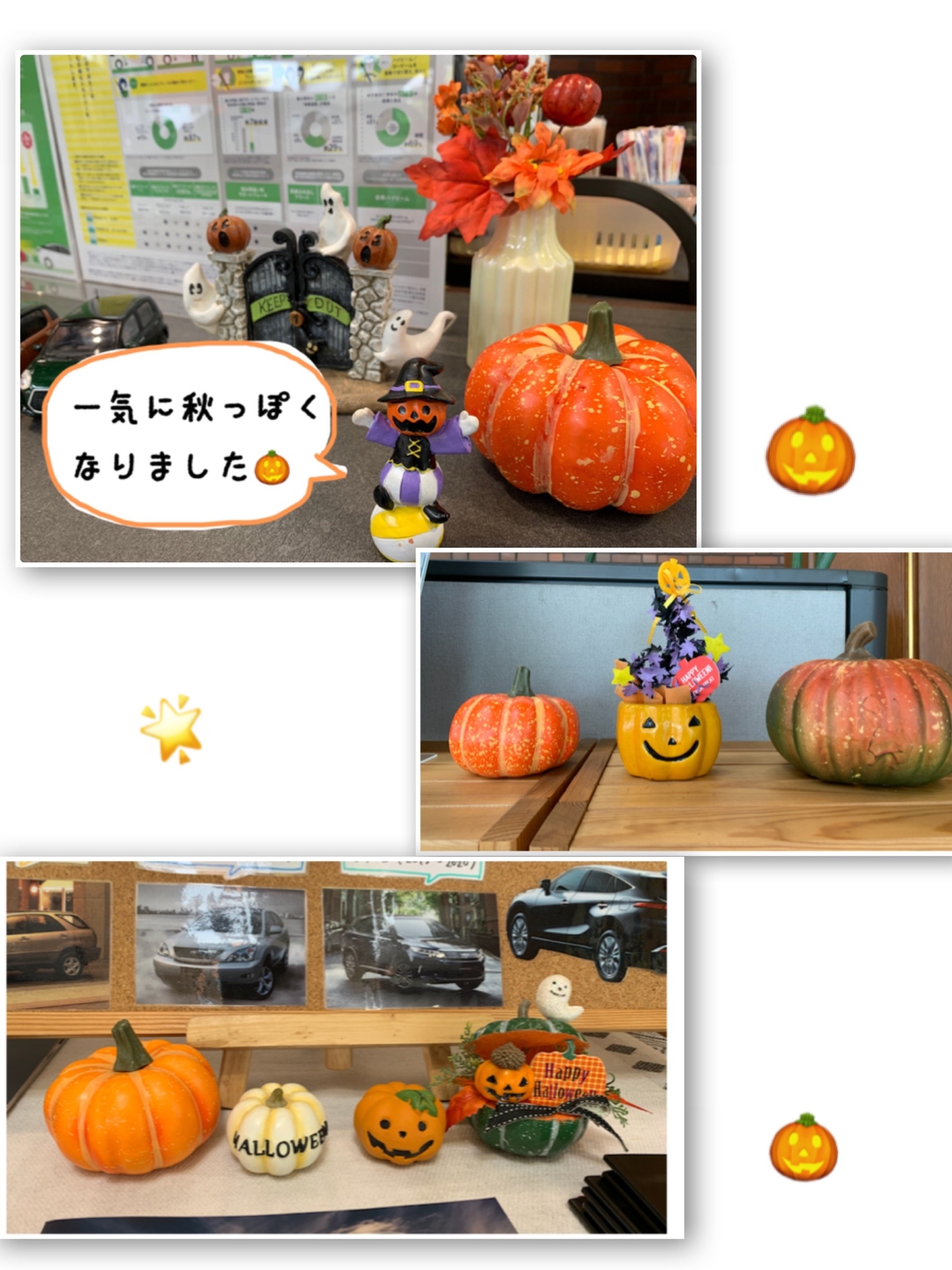店内を秋っぽく 店内を秋っぽく