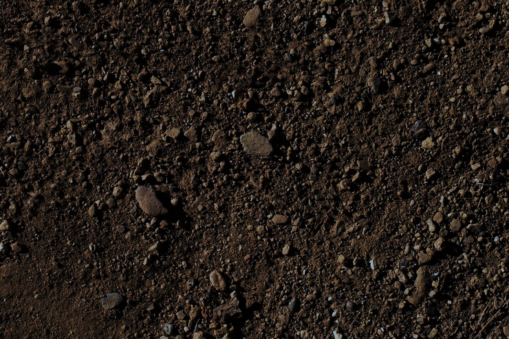 新型ランドクルーザー70ランディングページ | トヨタカローラ兵庫